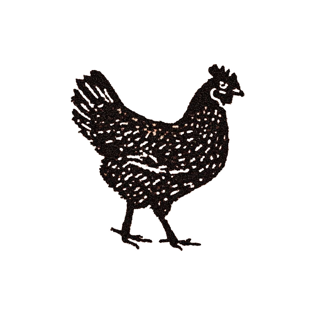 Whole pastured chicken